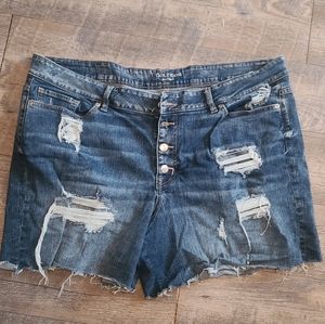 Maurices distressed shorts plus size 24W